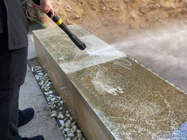 Best Roof Pressure Washing  in Brentwood, MD